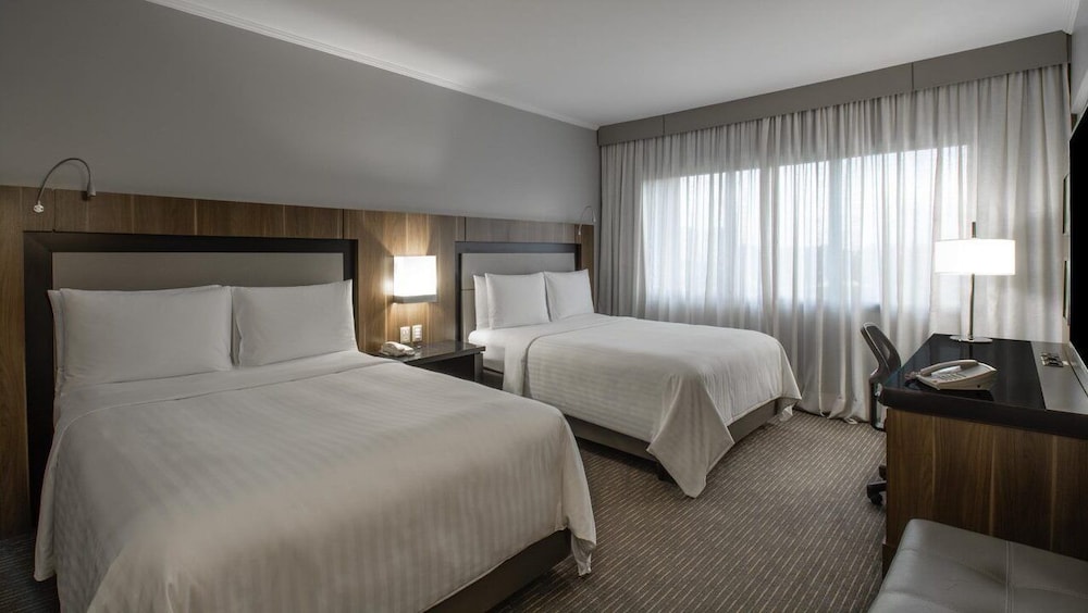 Executive Room, 2 Double Beds - Photo 2