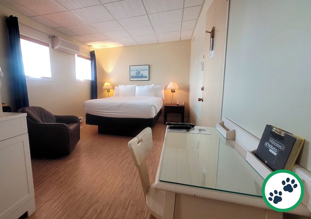 Comfort Room, 1 Queen Bed