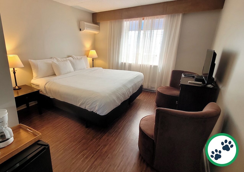 Comfort Room, 1 King Bed