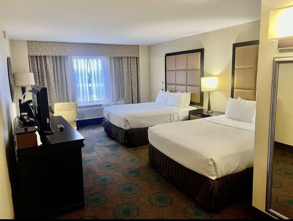 Senior Single Room, 2 Queen Beds, Non Smoking, City View photo 1