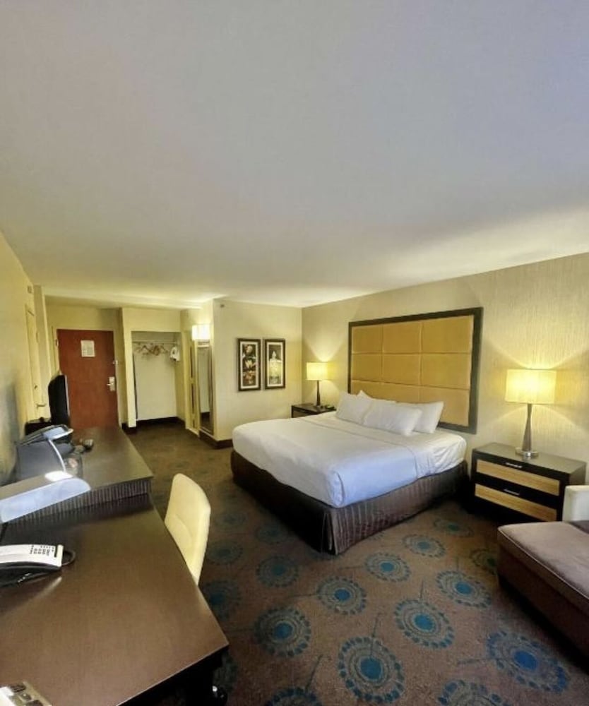 Senior Single Room, 1 King Bed, Non Smoking, City View photo 1
