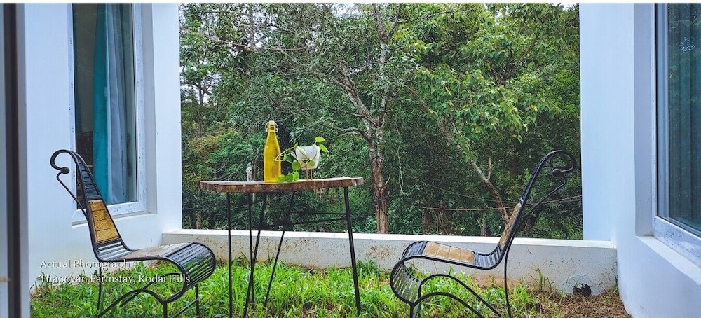 Premium Villa