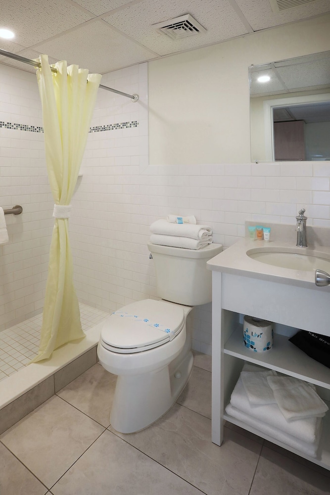 Classic Room (Motel Room With King Bed Ocean View)