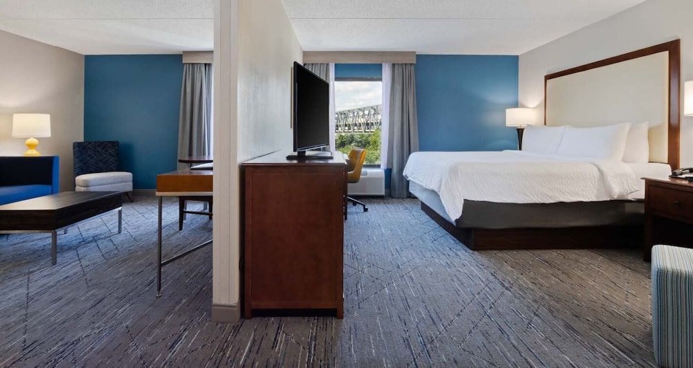 Suite, 1 King Bed, River View (Additional Living Area) - Photo 1