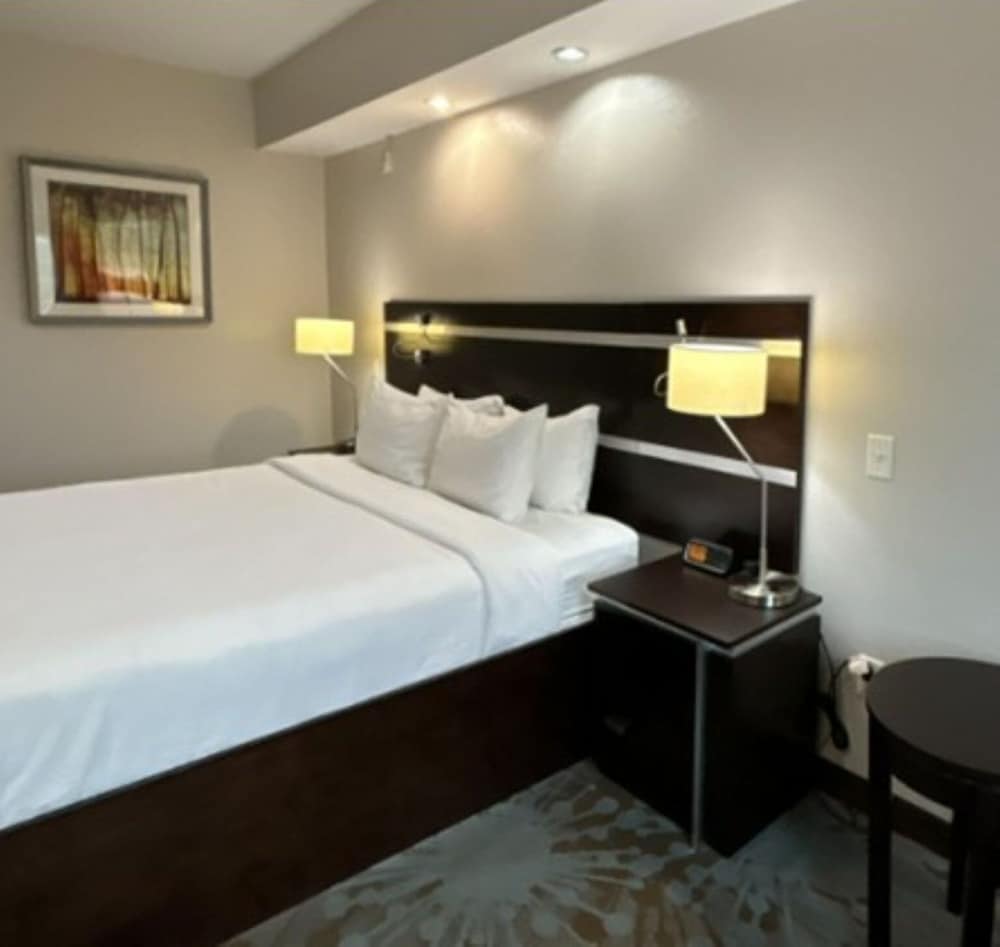 Room, 1 King Bed (Hearing Accessible) photo 3