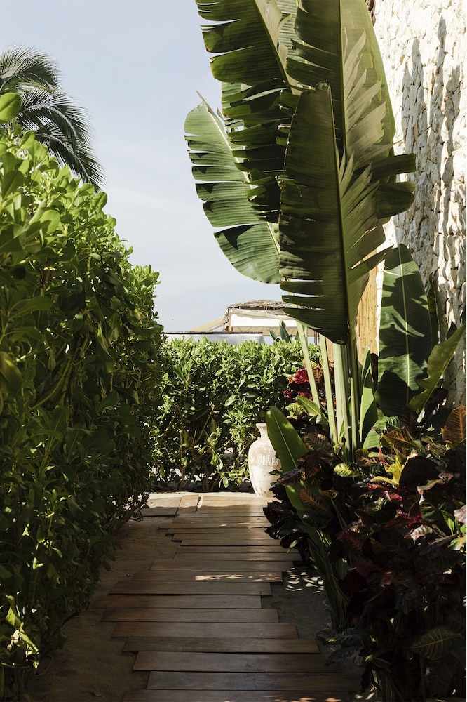OCEANFRONT GARDEN SUITE - Photo 5
