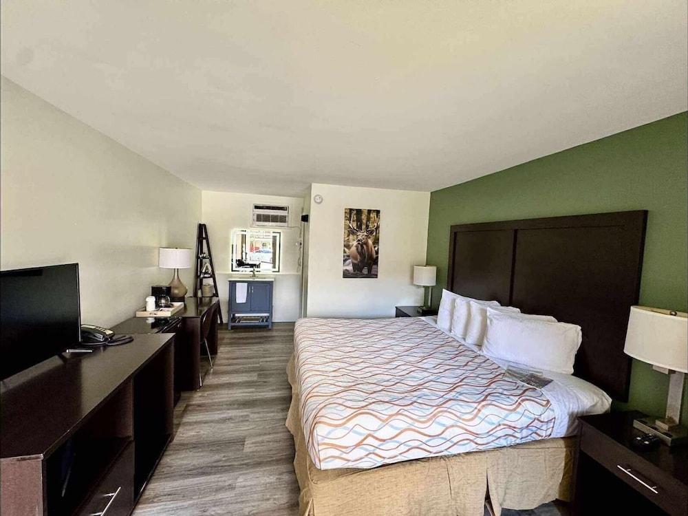 Room, 1 King Bed, Non Smoking