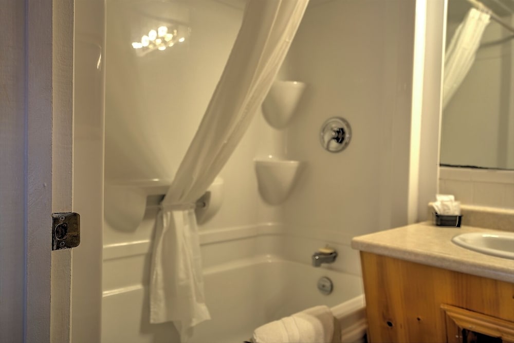 Room (1 Queen & 1 Single - Pet Friendly) photo 3
