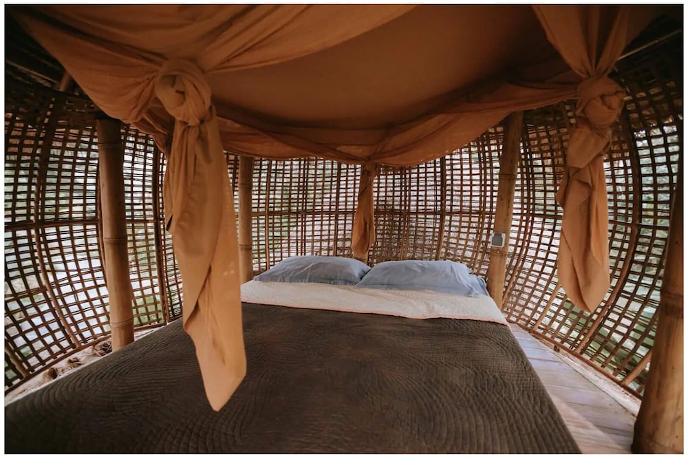 Bamboo Birdsnest Level 2 Sleeping Pod
