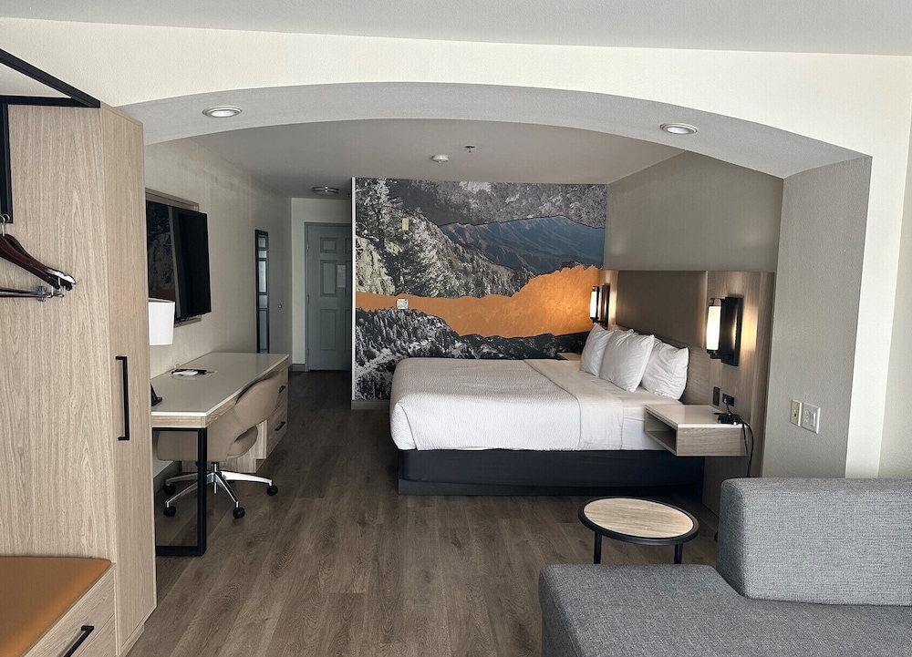 Studio Suite, 1 King Bed, Non Smoking - Photo 12