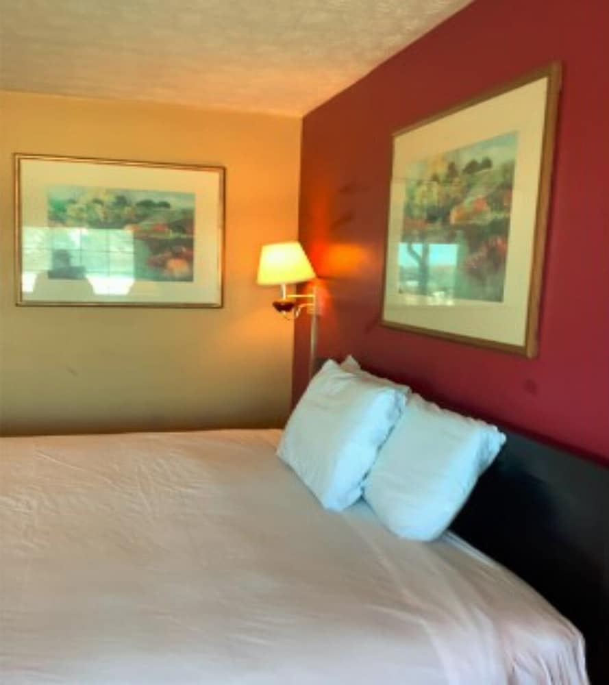 Room, 1 King Bed photo 2