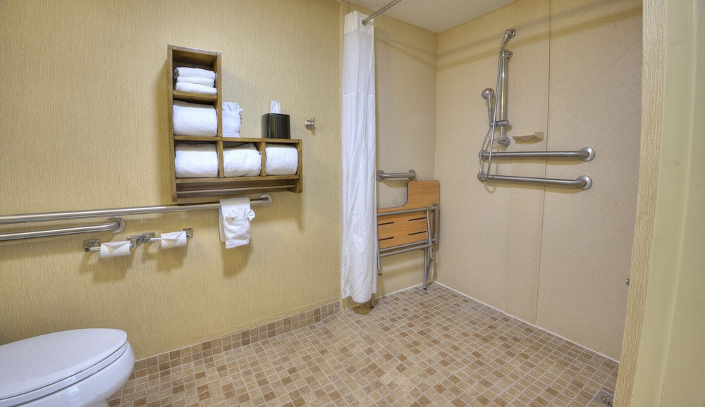1 King Bed Mobility Accessible Roll-In Shower Studio Suite - Photo 1