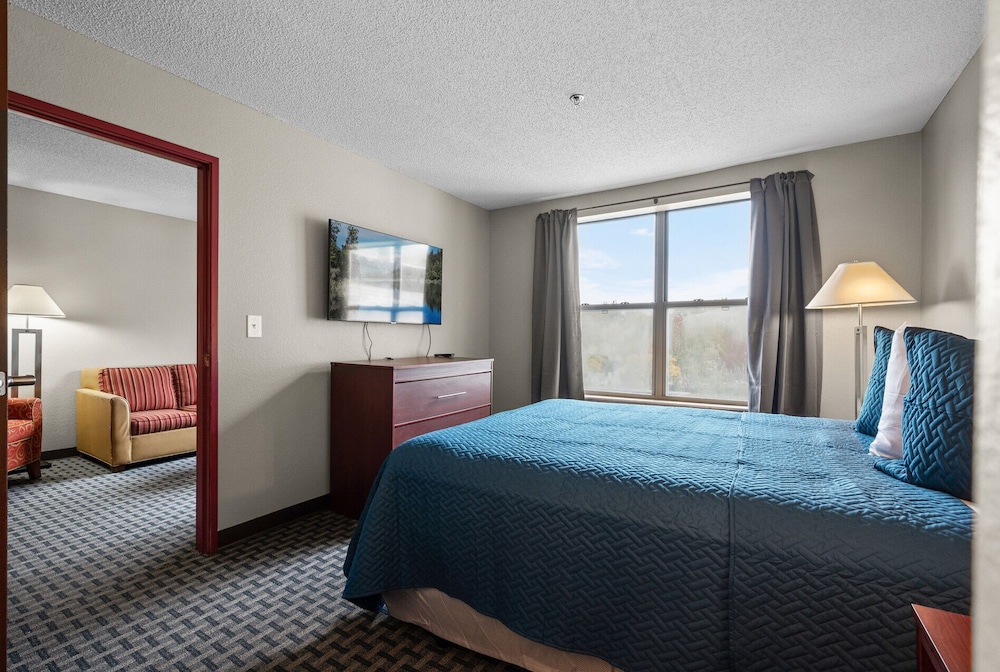 Standard Suite, 1 Queen Bed with Sofa bed, Kitchen photo 3