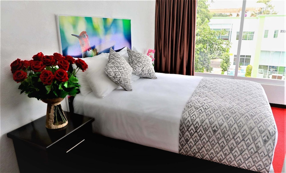 City Room photo 3