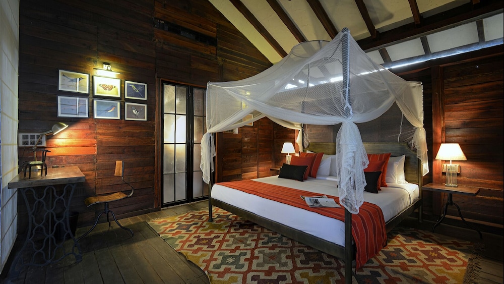Luxury Tree House, 1 King Bed, Non Smoking photo 1