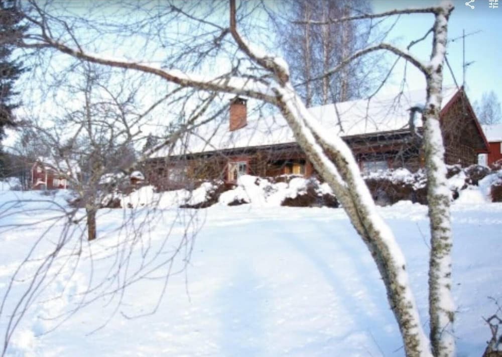 Cottage photo 1