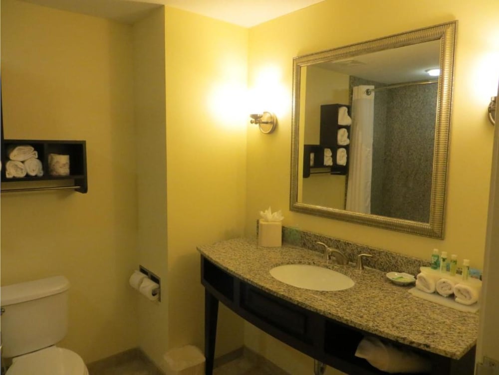 Standard Room, 1 King Bed, Accessible (Comm, Mobil, Roll Shwr) - Photo 4