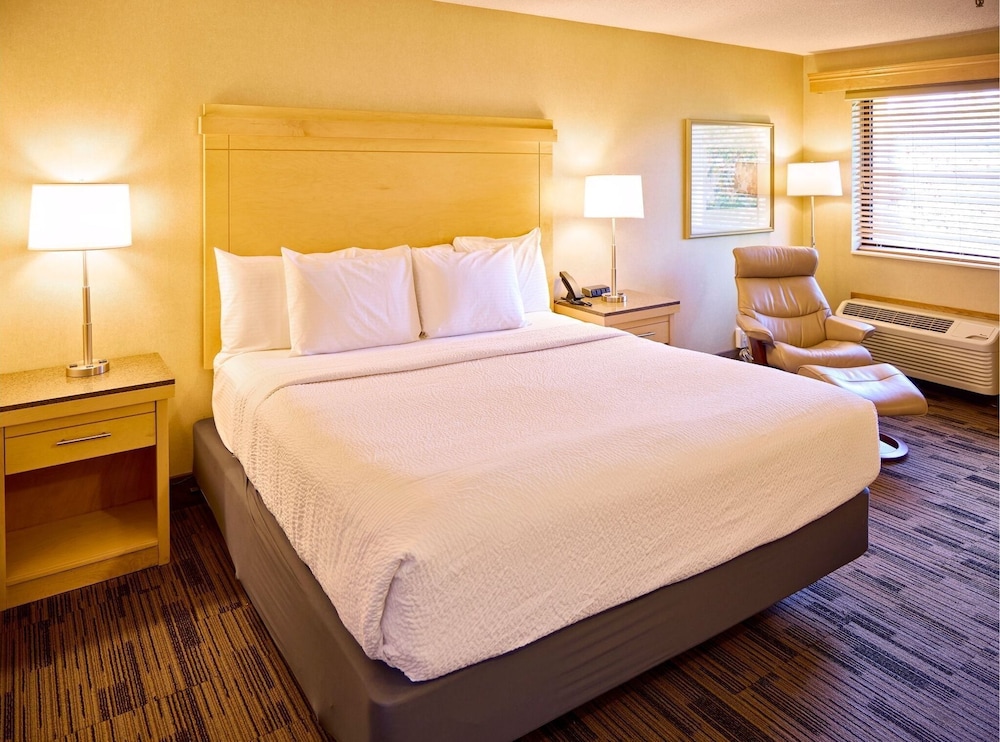 Premium Room, 1 King Bed, Non Smoking - Photo 1