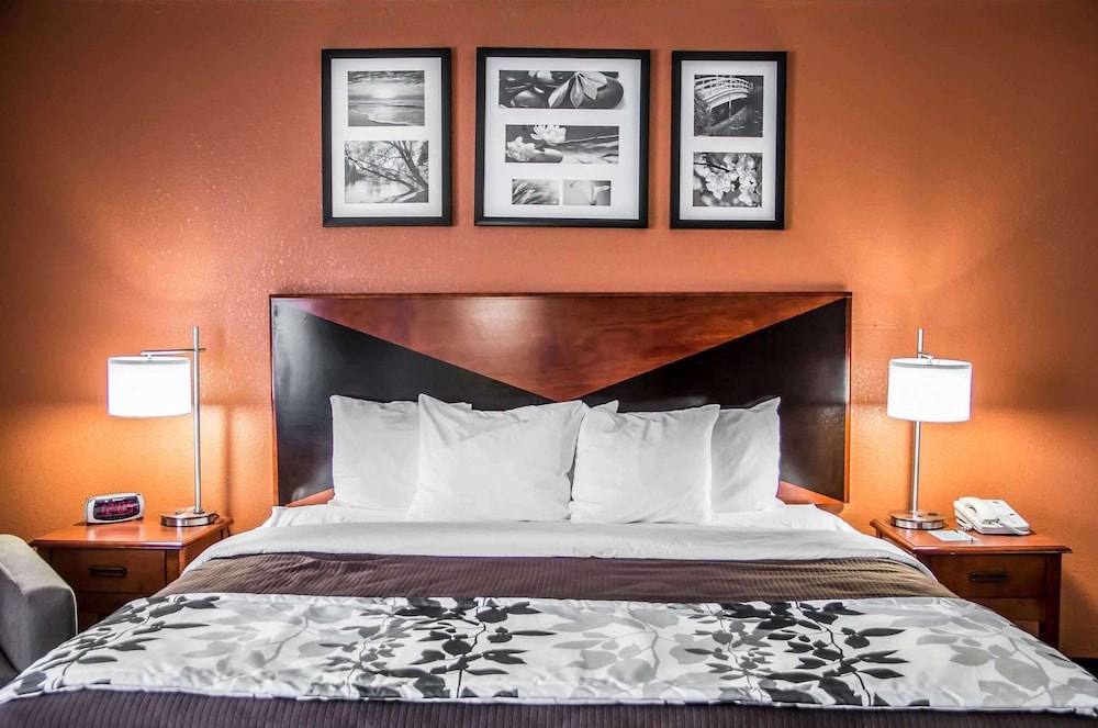 Standard Room, 1 King Bed, Non Smoking - Photo 2