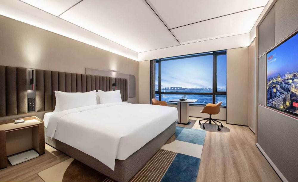 Basic Double Room, 1 King Bed