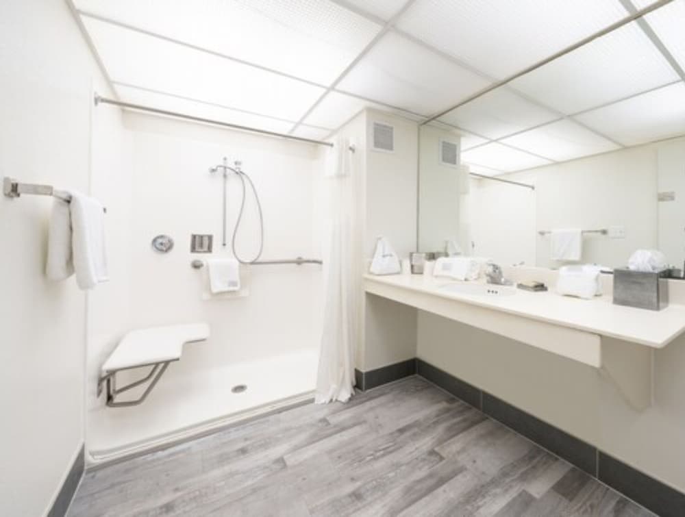 Standard Room, 1 King Bed, Accessible photo 2