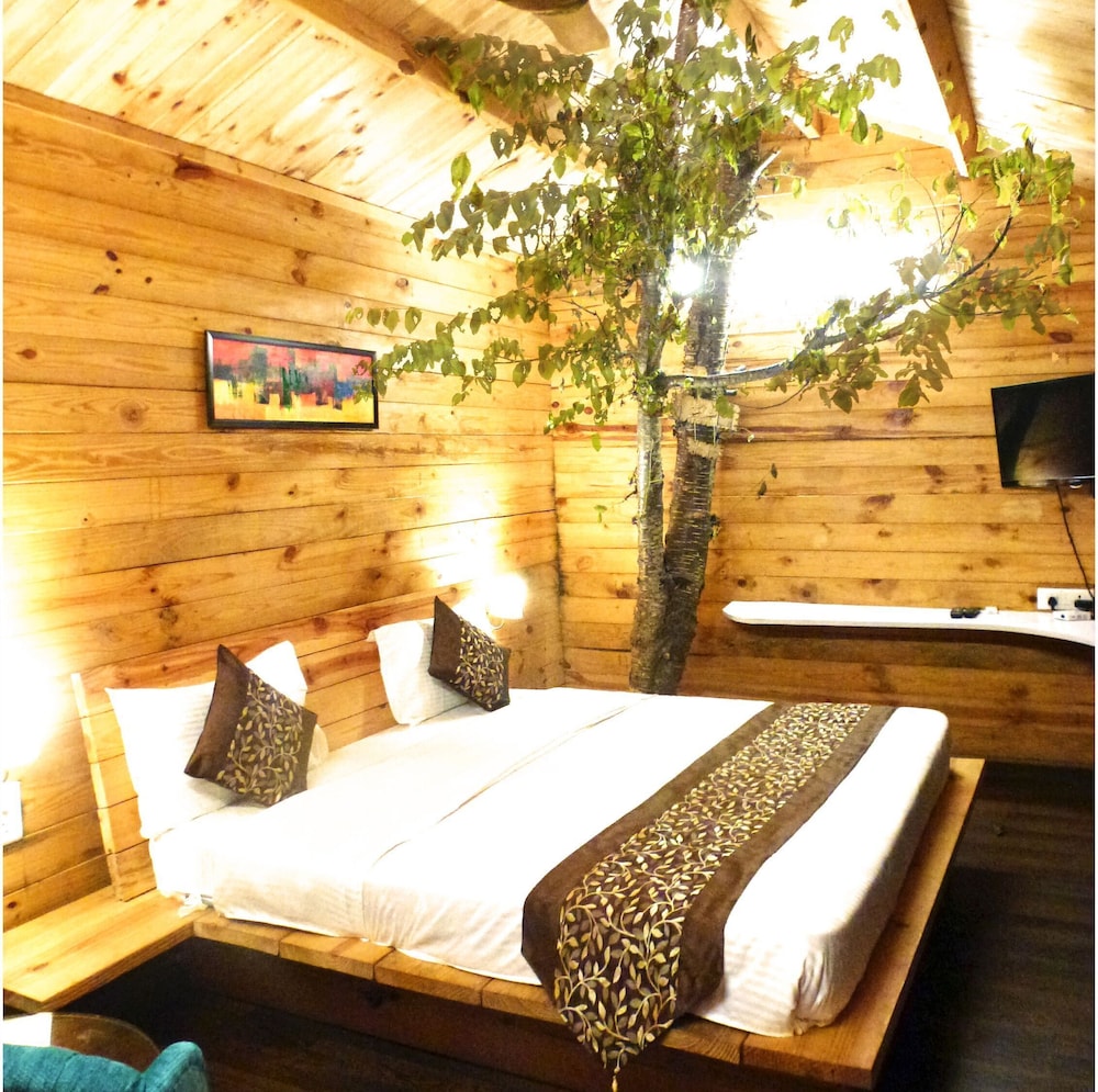 Deluxe Cottage photo 2