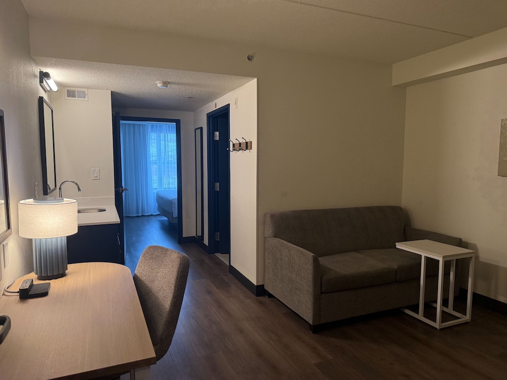 Suite, 1 King Bed - Photo 3