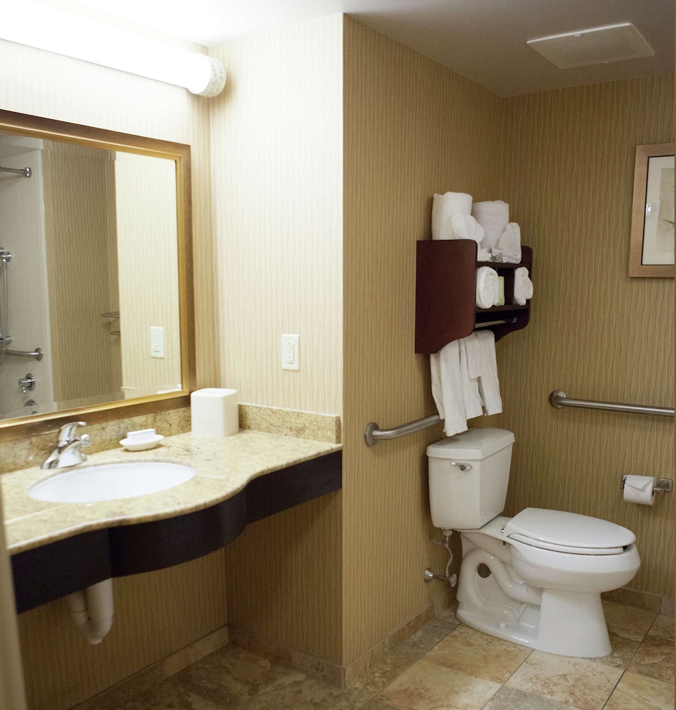 Room, 1 King Bed, Accessible, Non Smoking - Photo 4