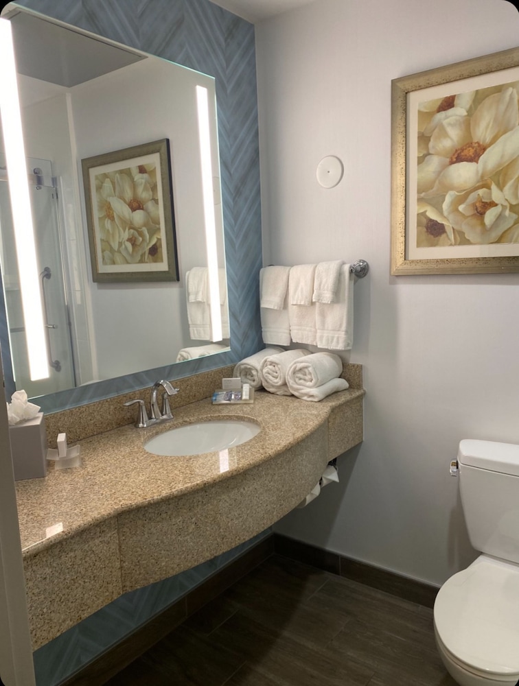 Hilton Garden Inn Orlando Lake Buena Vista, 写真 6