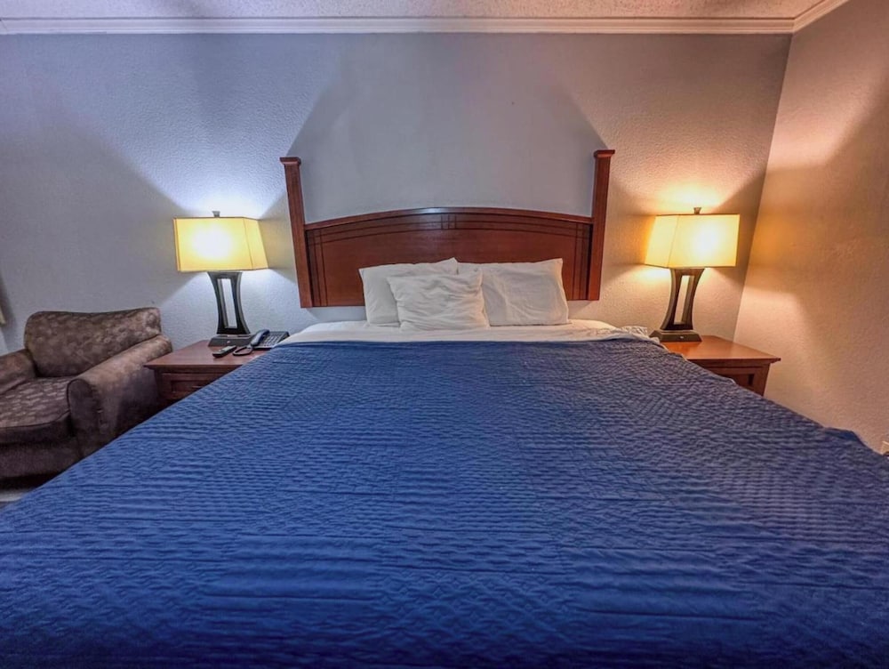 Room, 1 King Bed