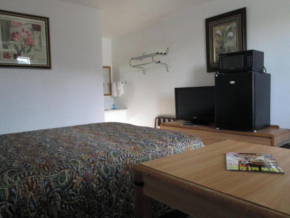 Room, 1 King Bed photo 1