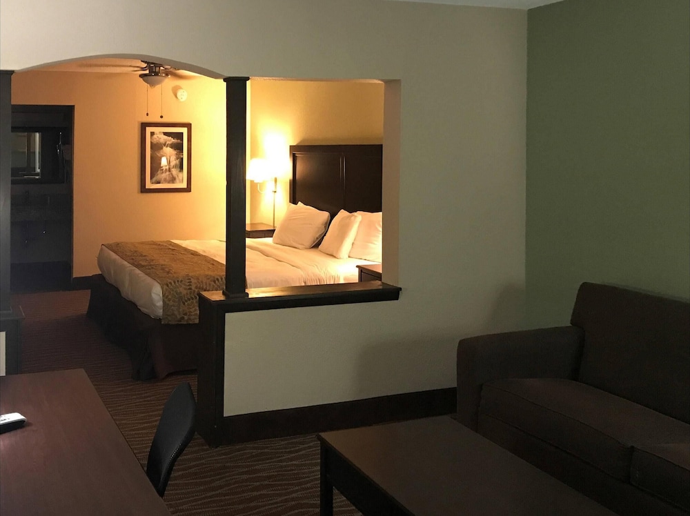 Suite, 1 King Bed with Sofa bed, Non Smoking photo 1