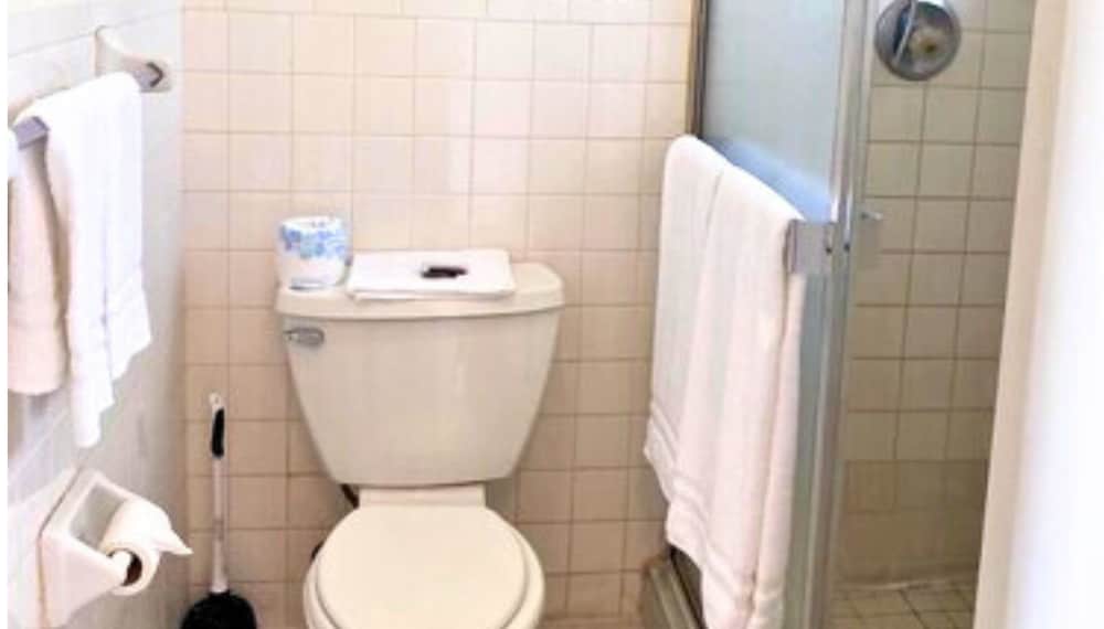 Standard Single Room, 1 King Bed, Non Smoking, Refrigerator & Microwave photo 3