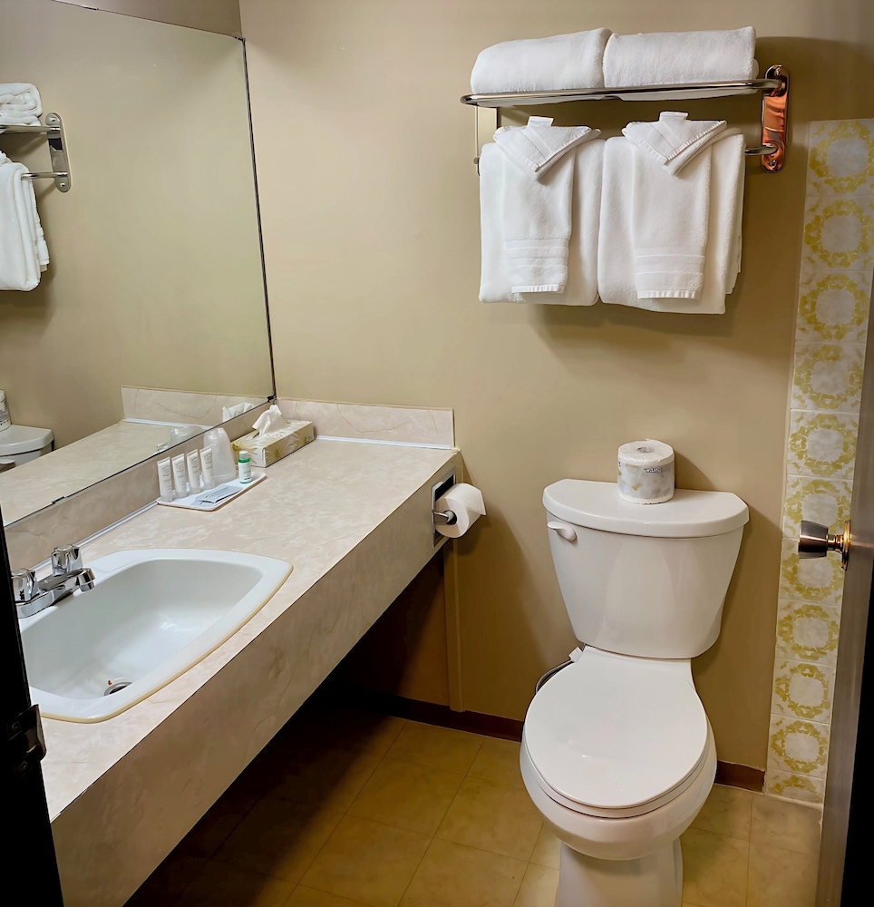 Executive Room photo 2