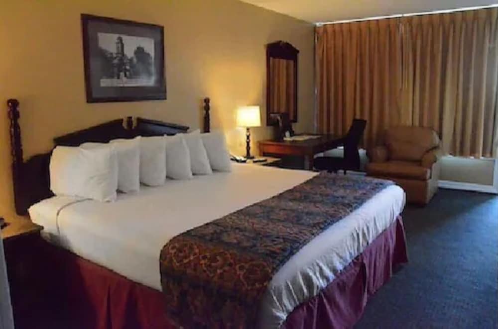 Standard Room, 1 King Bed photo 3