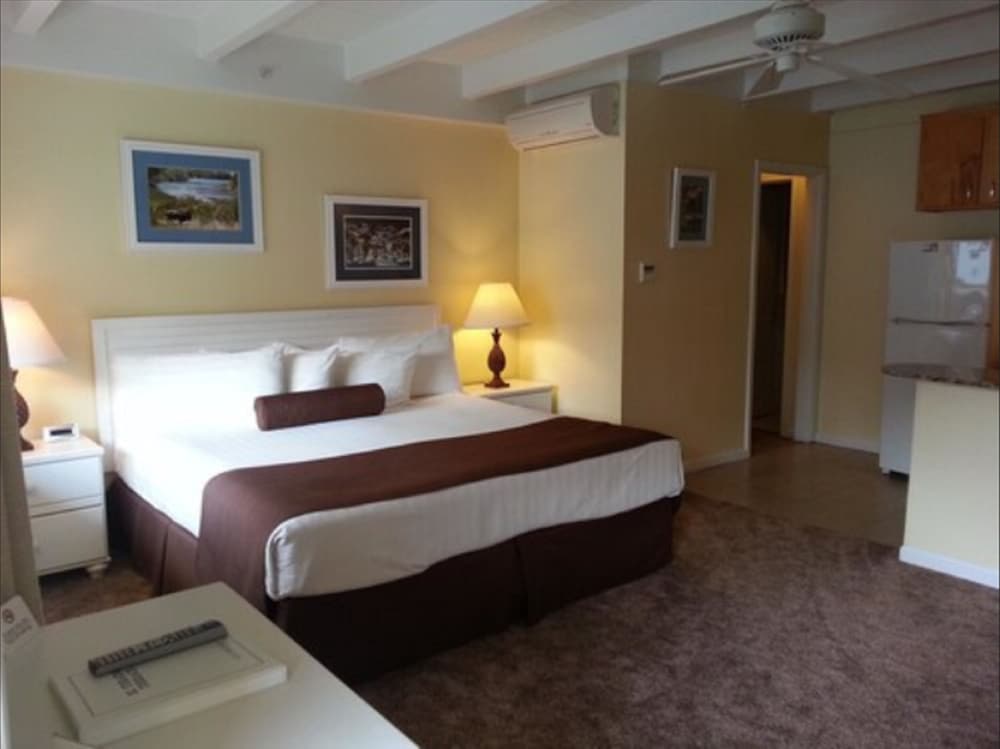 Suite, 1 King Bed photo 3