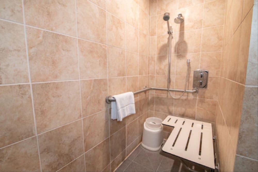 Executive Room, 1 King Bed, Accessible, City View (ADA Accessible Executive King) - Photo 4