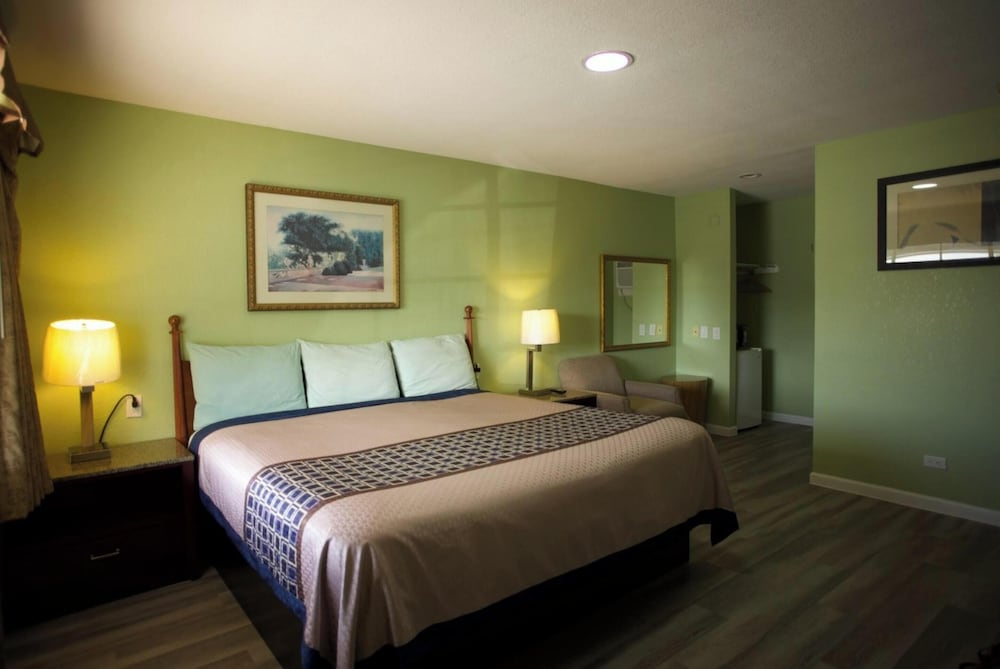 Room, 1 King Bed, Non Smoking photo 1