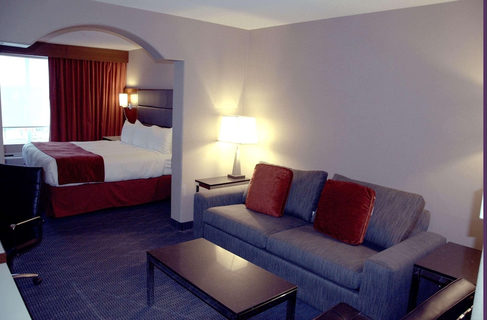 Studio Suite, 1 King Bed with Sofa bed photo 1