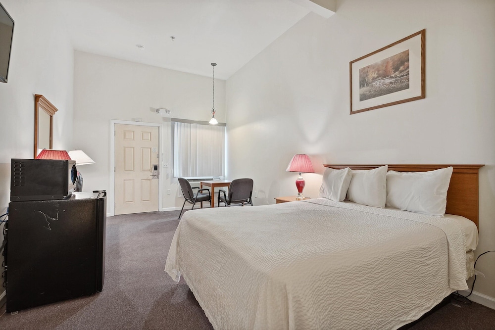 Standard Room, 1 Queen Bed, Accessible, Non Smoking photo 1