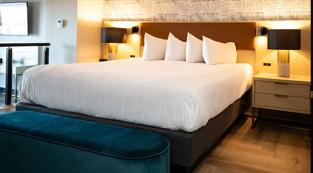 Premium Suite - Photo 4
