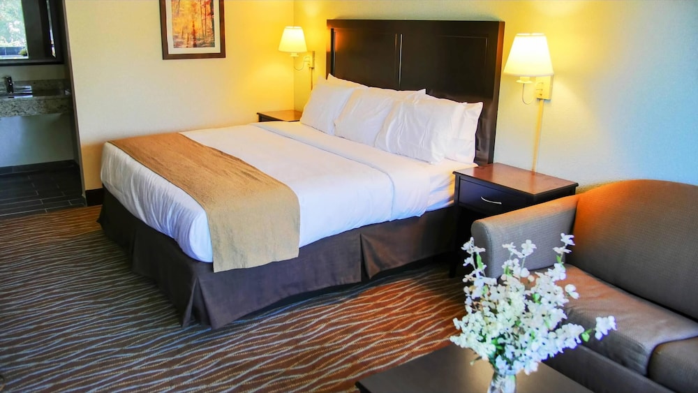 Standard Room, 1 King Bed with Sofa bed, Non Smoking photo 1