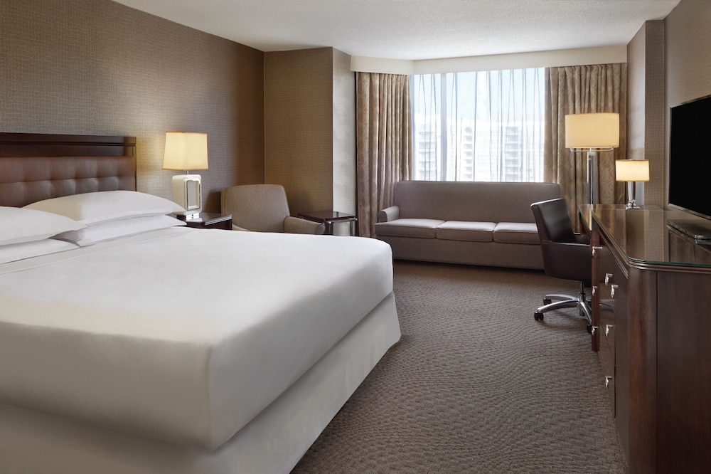 Room, 1 King Bed with Sofa bed