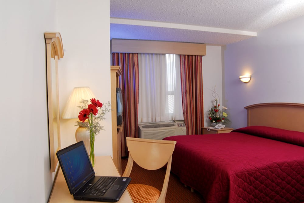 Standard Single Room, 1 King Bed photo 3