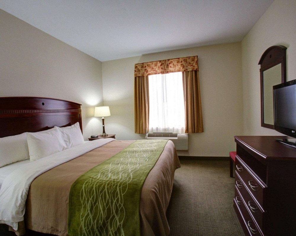 Suite, Non Smoking - Photo 4