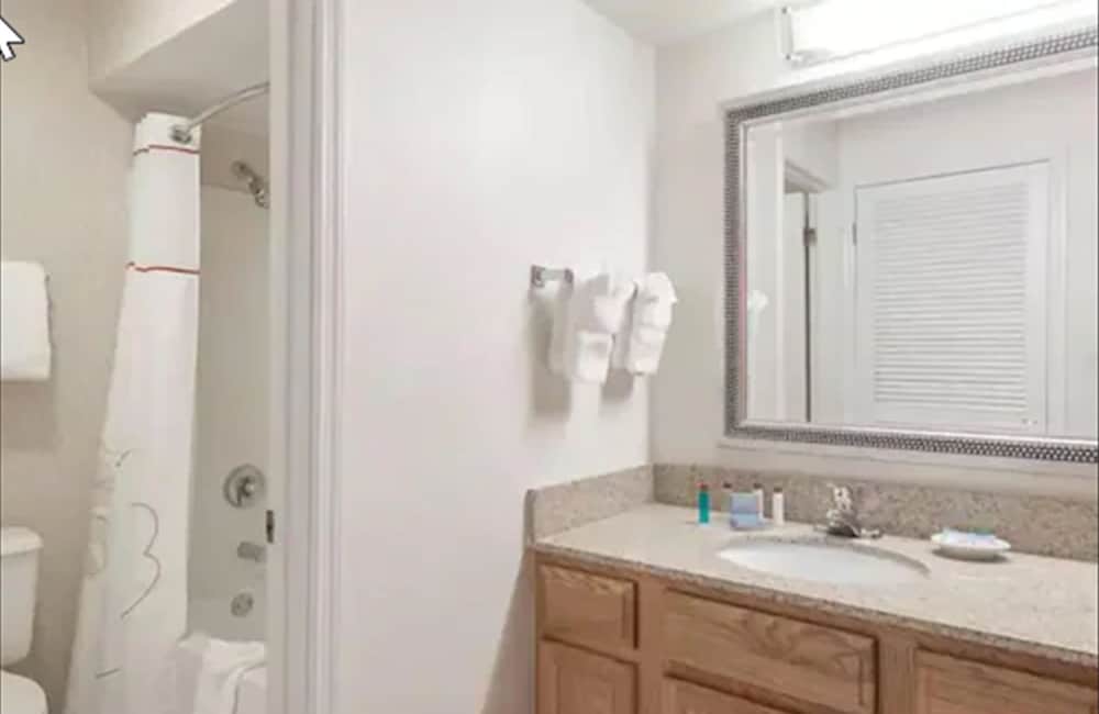 Studio Suite, 1 King Bed - Photo 6