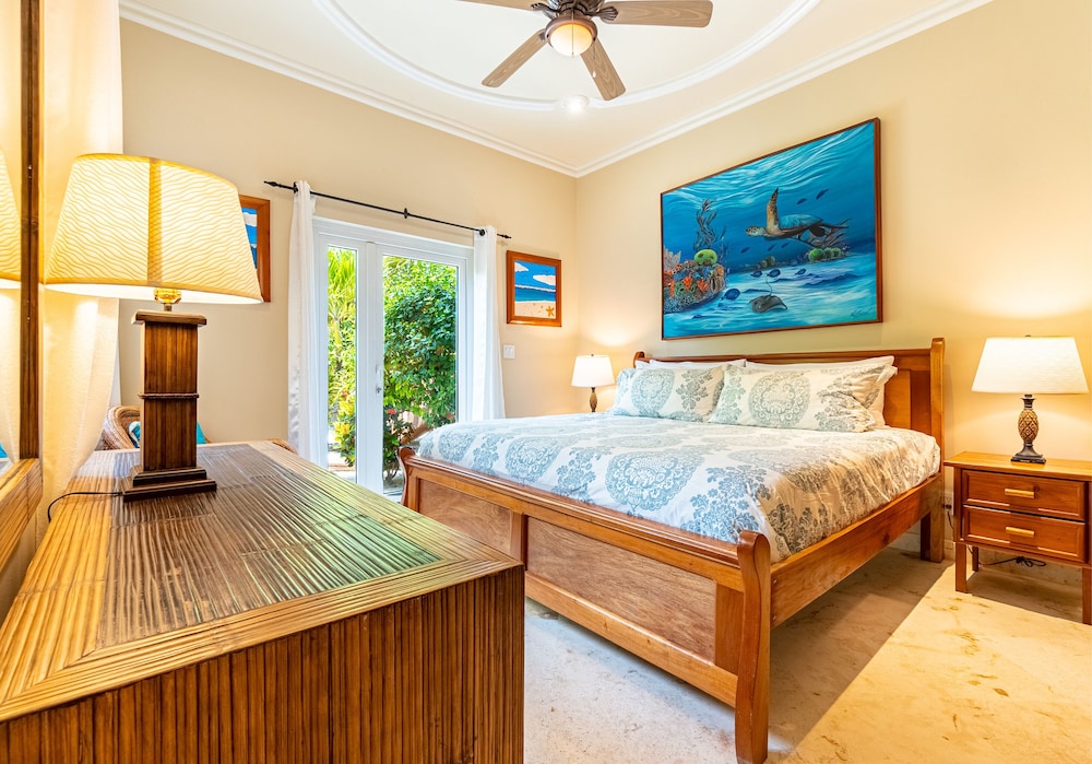 Caribbean Soul Villa photo 2