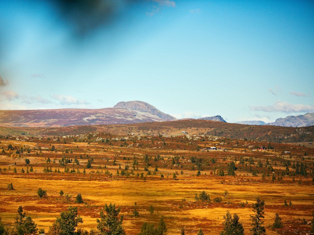 Modern Mountain Cabin - 3 Bedrooms - Sleeps 7, Billede 12
