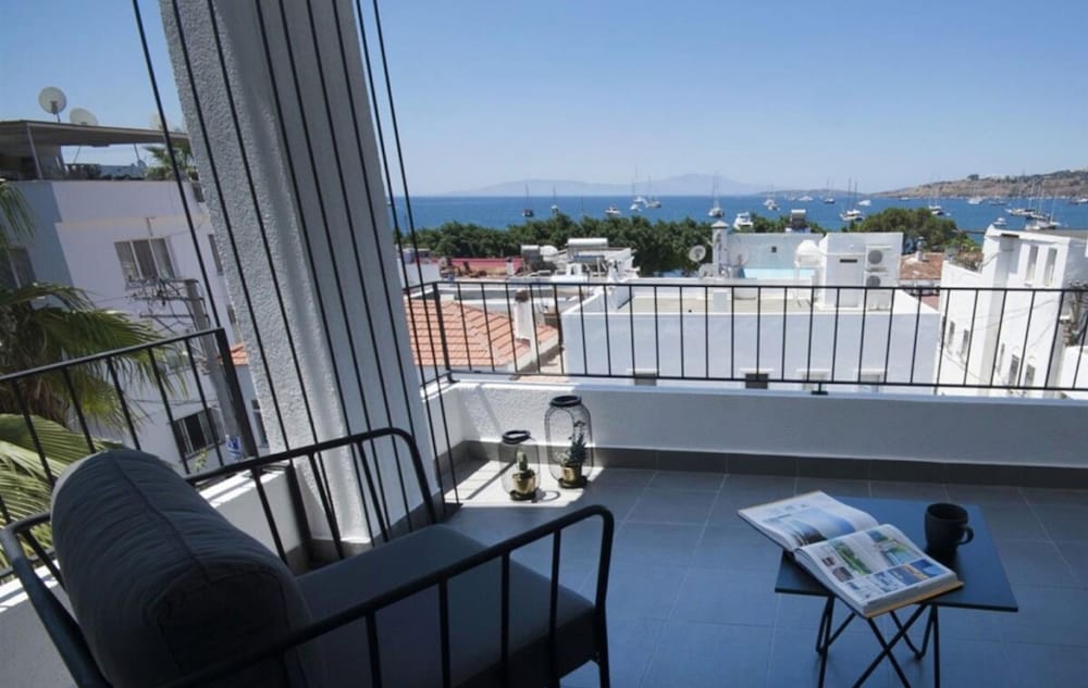 Suite - Photo 1