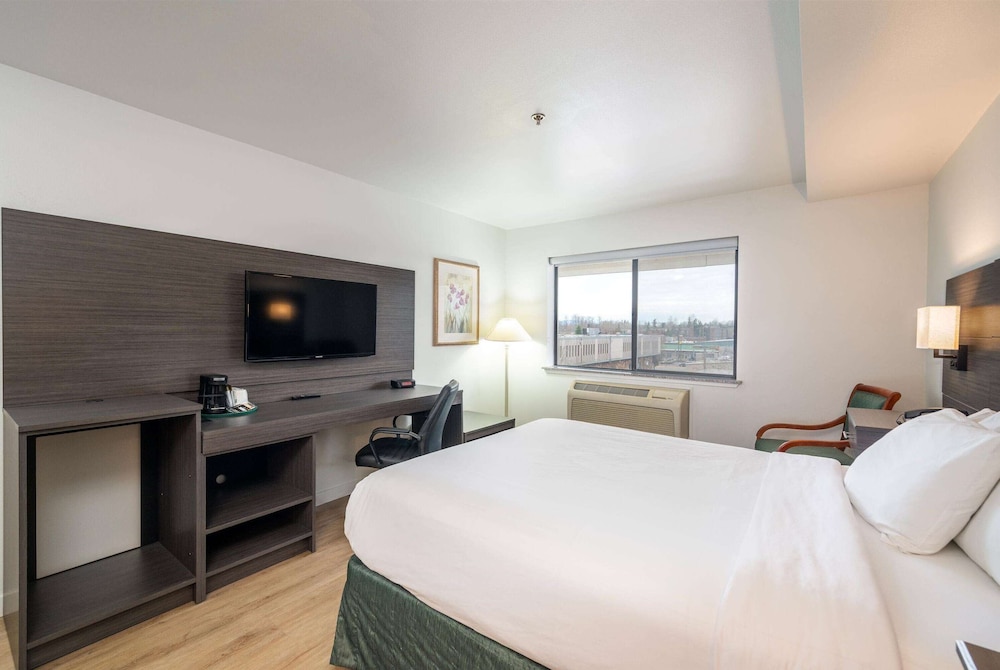 Studio Suite, 1 Queen Bed, Non Smoking, Kitchenette - Photo 9